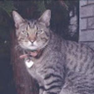 Meet your Posher, Diane